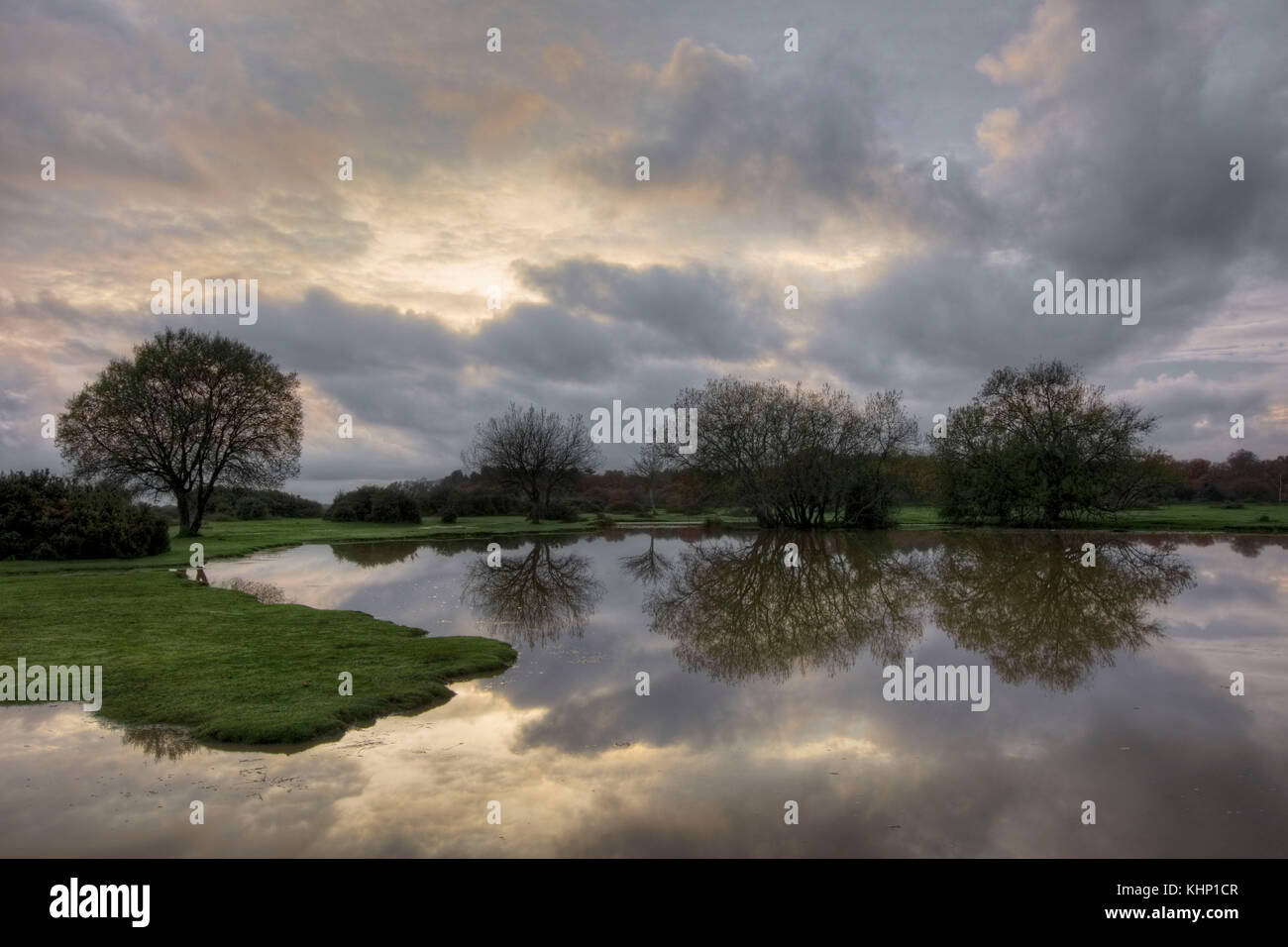 New Forest, Janesmoor Pond, Lyndhurst, Hampshire, England, United Kingdom Stock Photo