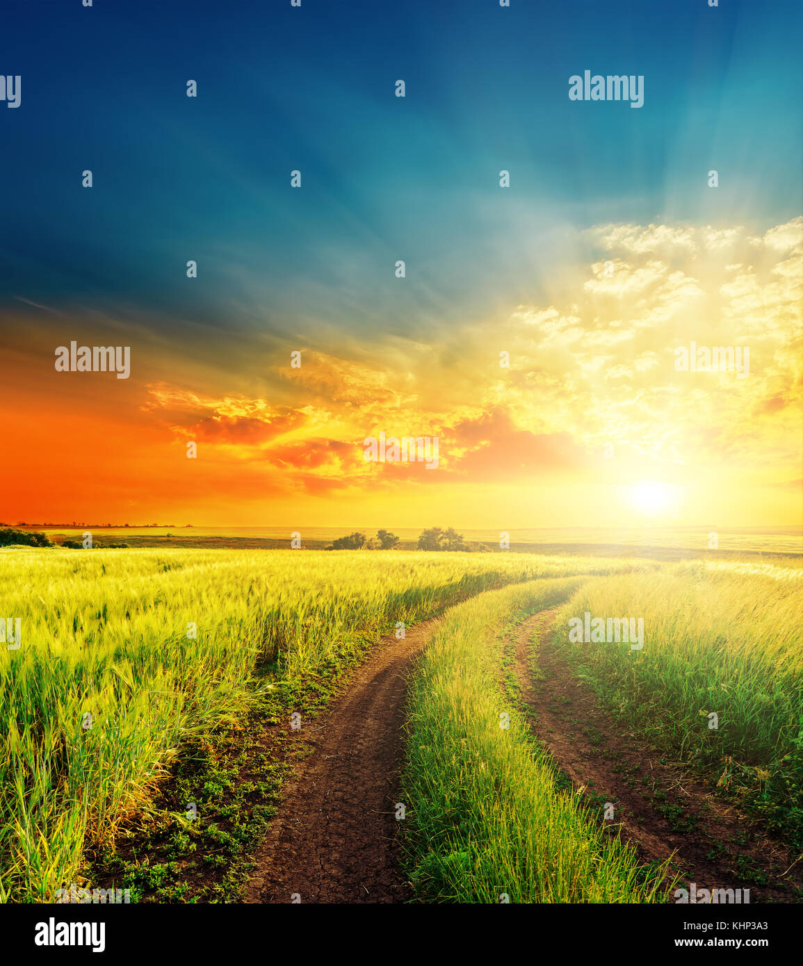 good sunset and road in green fields Stock Photo - Alamy