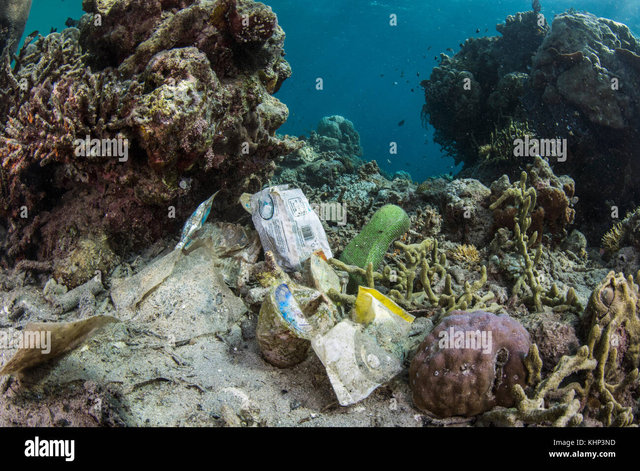 Plastic trash in coral reef, Gili Air, Lesser Sunda Islands, Indonesia ...