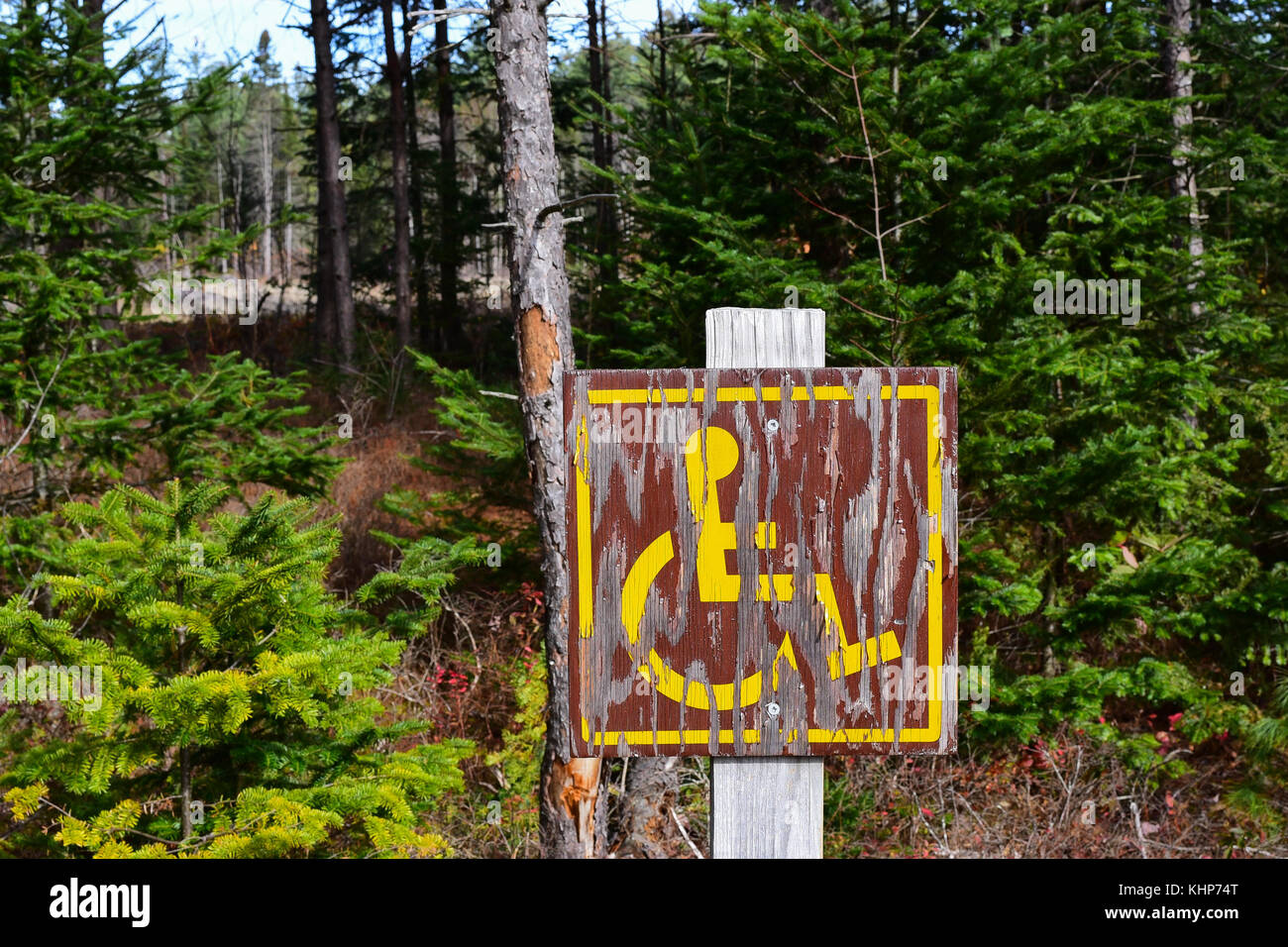 Neglected peeling handicapped parking sign in a wilderness parking lot. Stock Photo