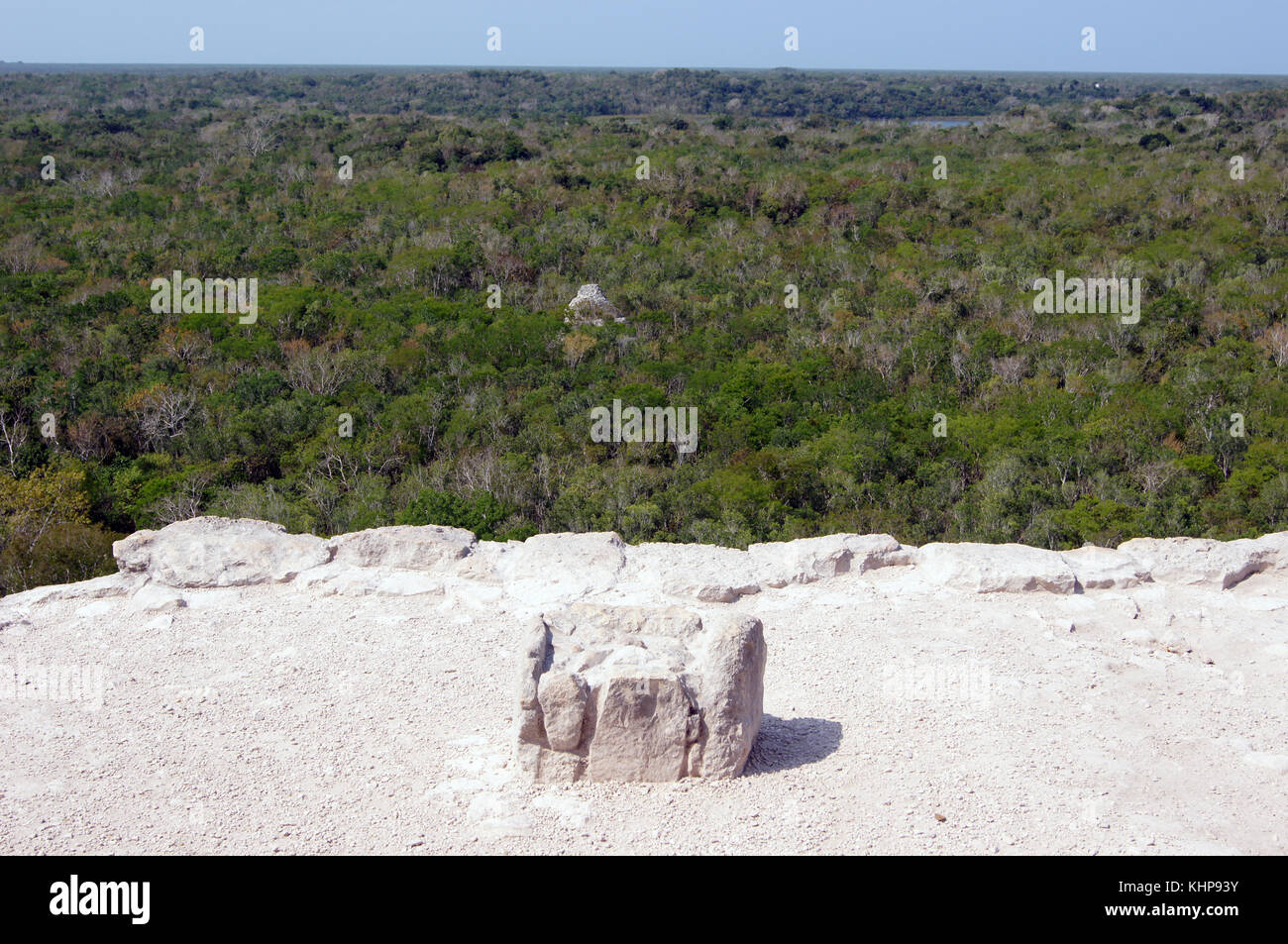 Top of piramid and forest in Coba. Mexico Stock Photo