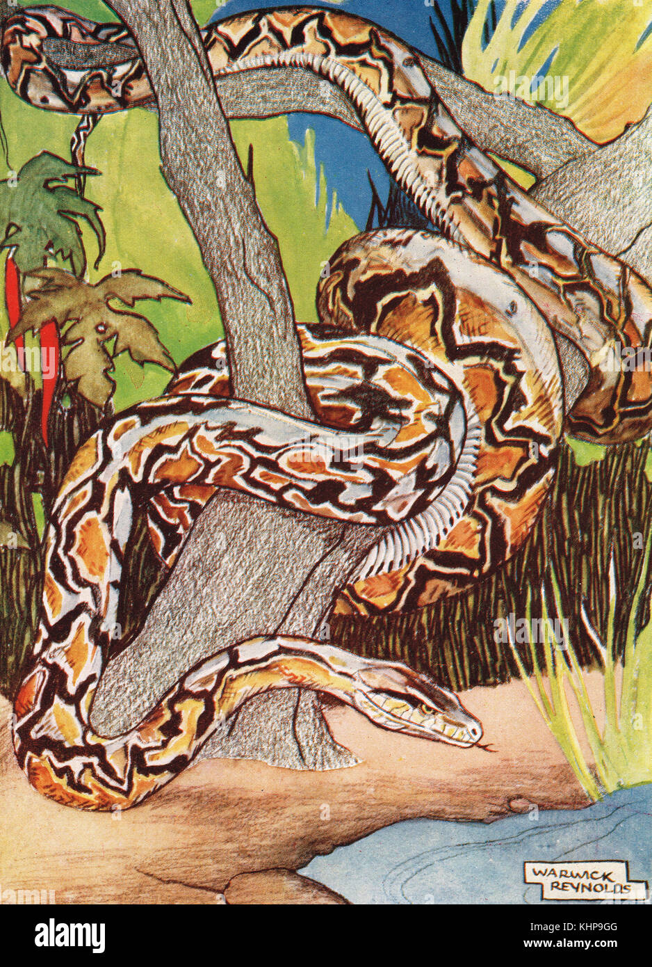Python Painting