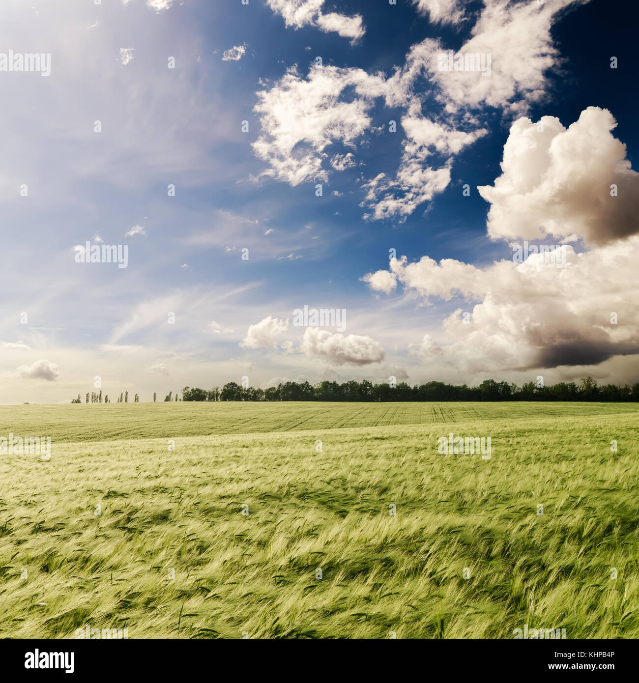 Sky over green grass hi-res stock photography and images - Alamy