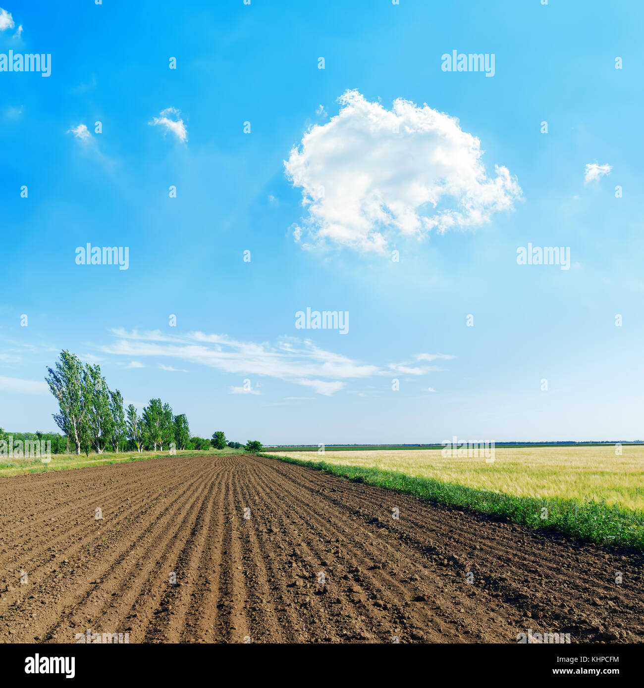 white cloud in blue sky over black agriculture field Stock Photo - Alamy