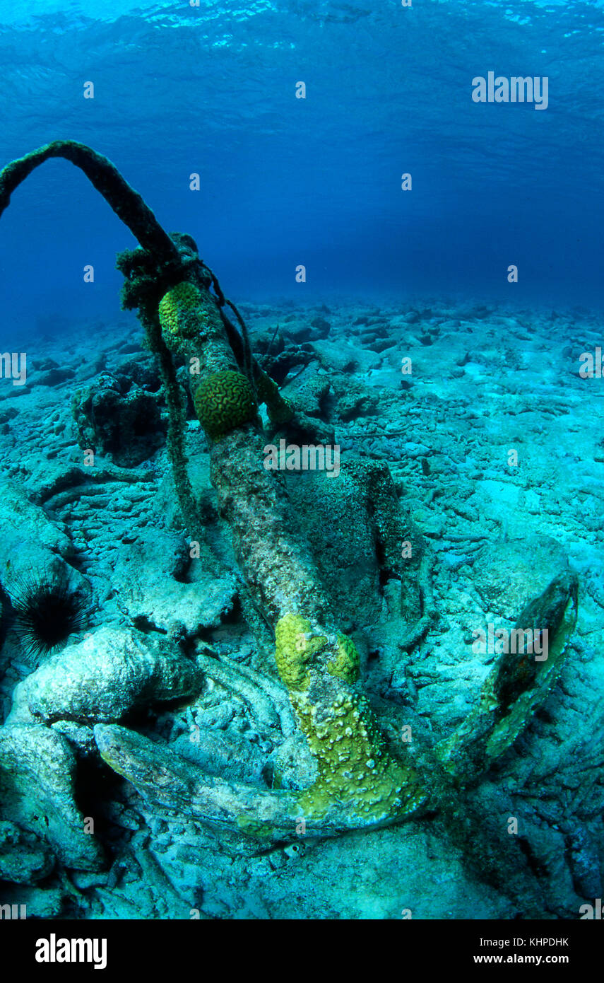 Underwater wreck spanish hires stock photography and images Alamy