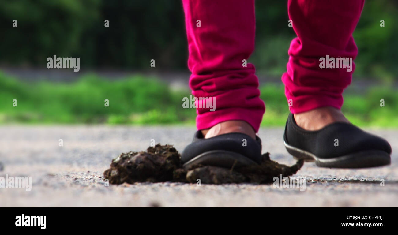 Girl with cow dung hi-res stock photography and images - Alamy