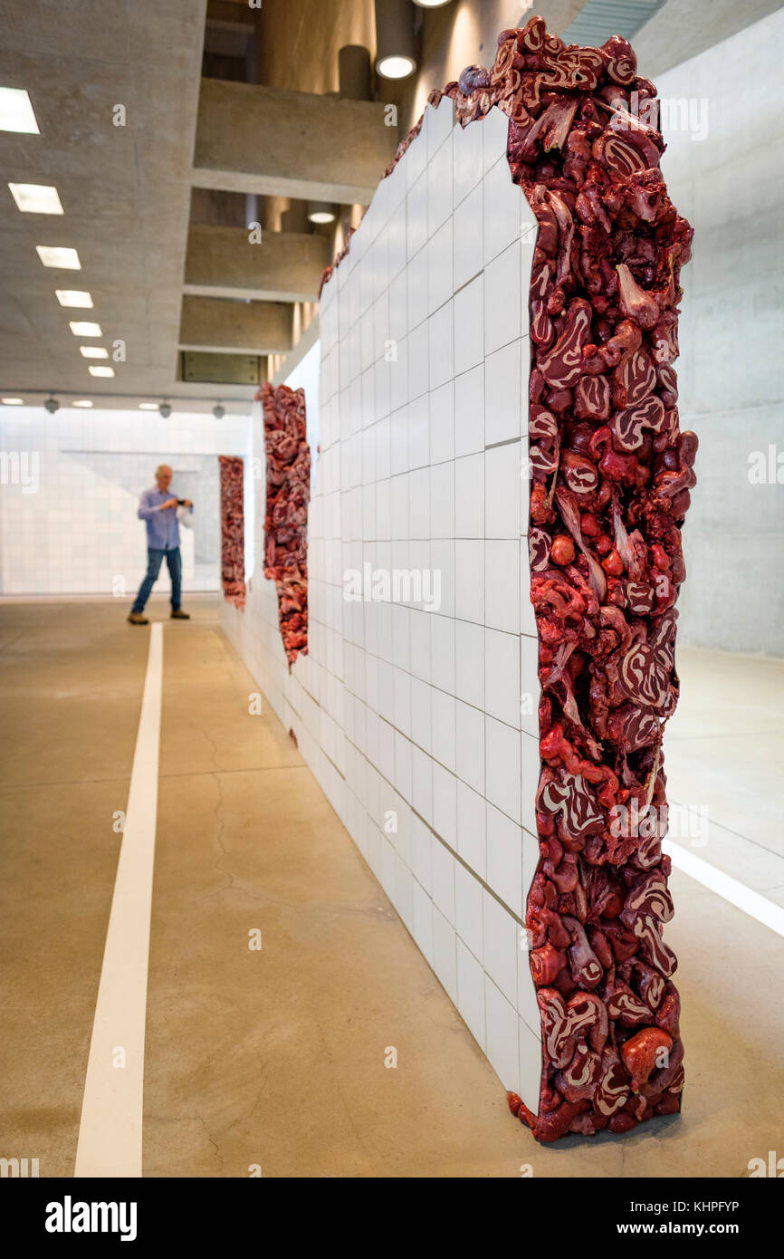 Visitor at Adriana Varejao Gallery, Linda do Rosario Installation, Inhotim Cultural Institute, Brumadinho, Belo Horizonte, Minas Gerais, Brazil. Stock Photo