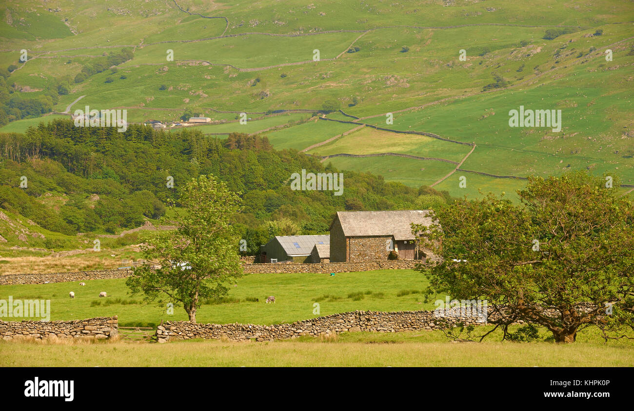 Barn and farm buildings in green valley near Settle, North Yorkshire, UK Stock Photo