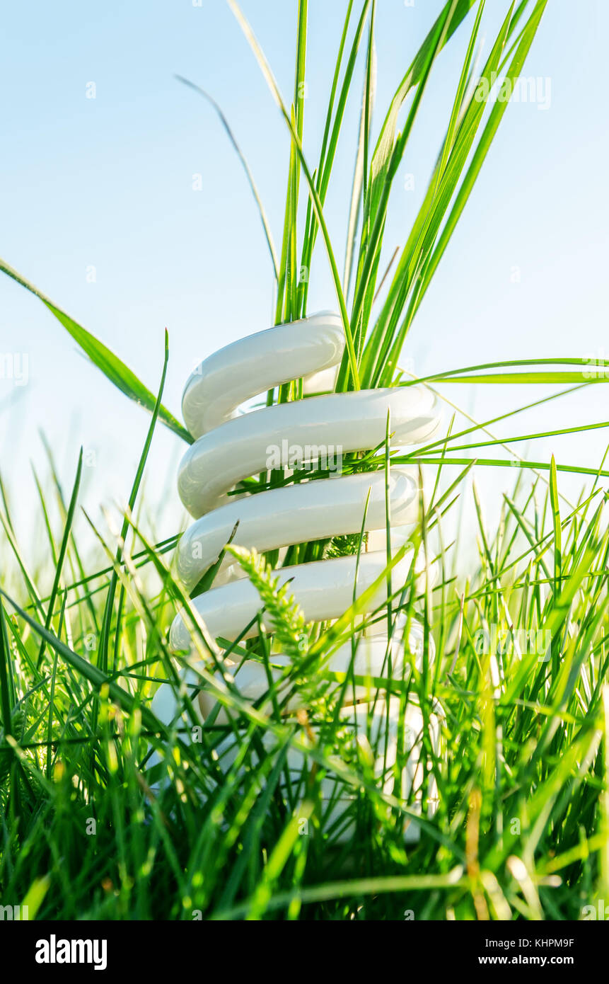 energy saving bulb in green grass Stock Photo - Alamy