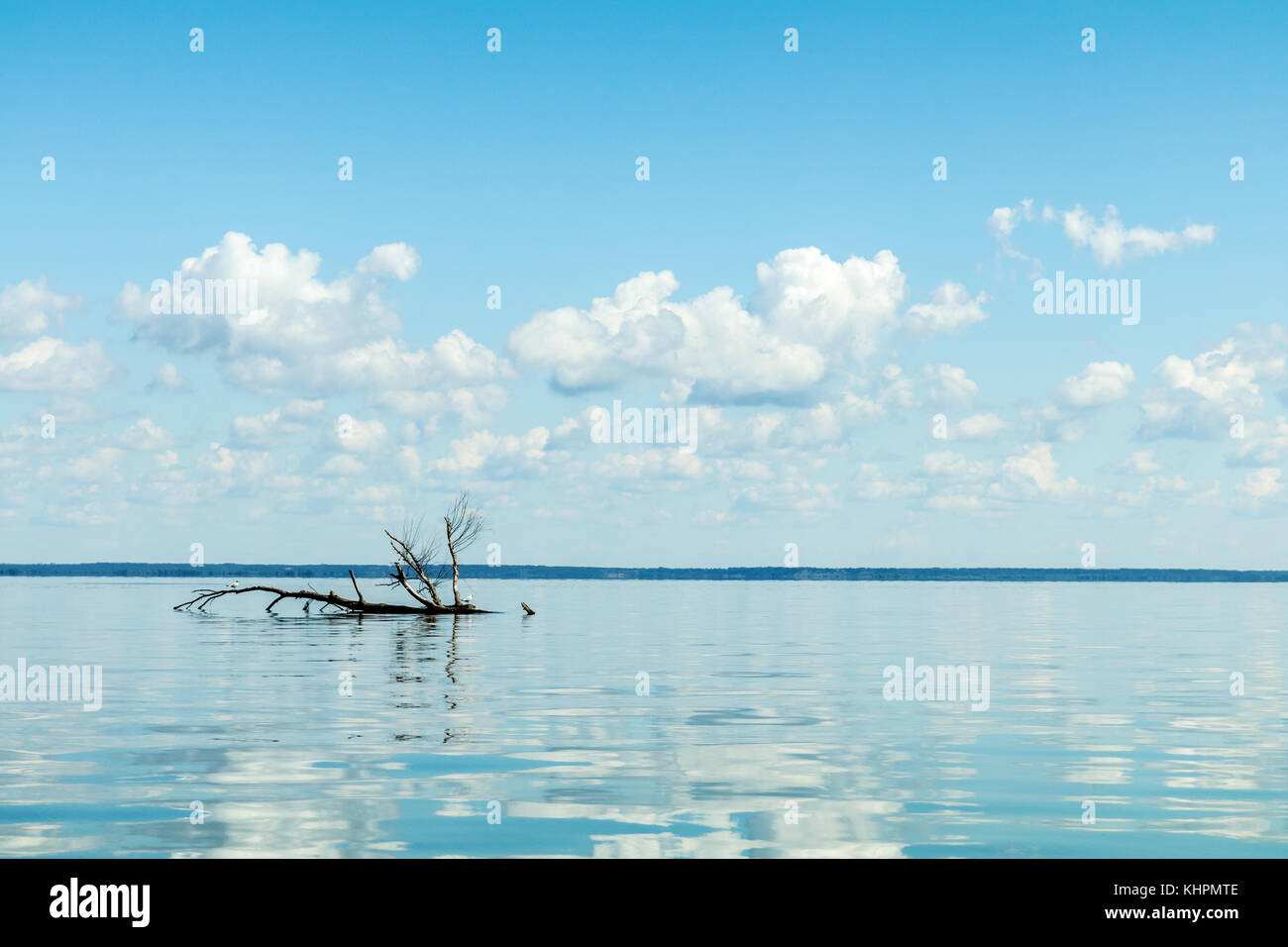 Amazing beautiful blue sky with light white clouds over calm smooth river surface. Summertime. Sunny day. Stock Photo