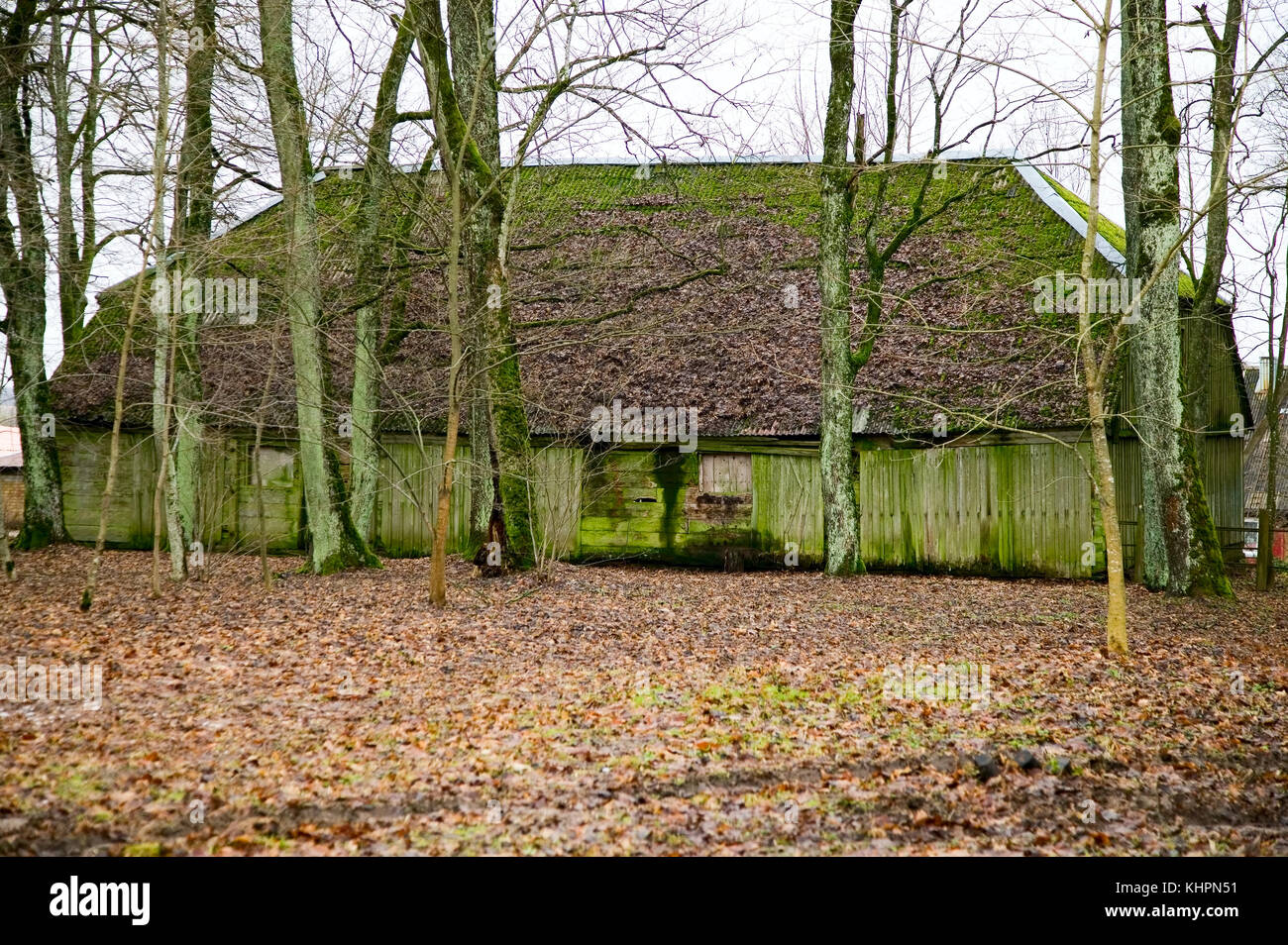 Old vintage green house in countryside, trees around Stock Photo - Alamy