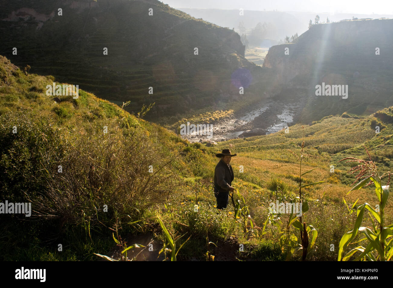 A man cultivating 'the farm' in the Peruvian high plateau in the vicinity of the Colca Valley on the route that leads to the Cruz del Cóndor. Colca Ca Stock Photo