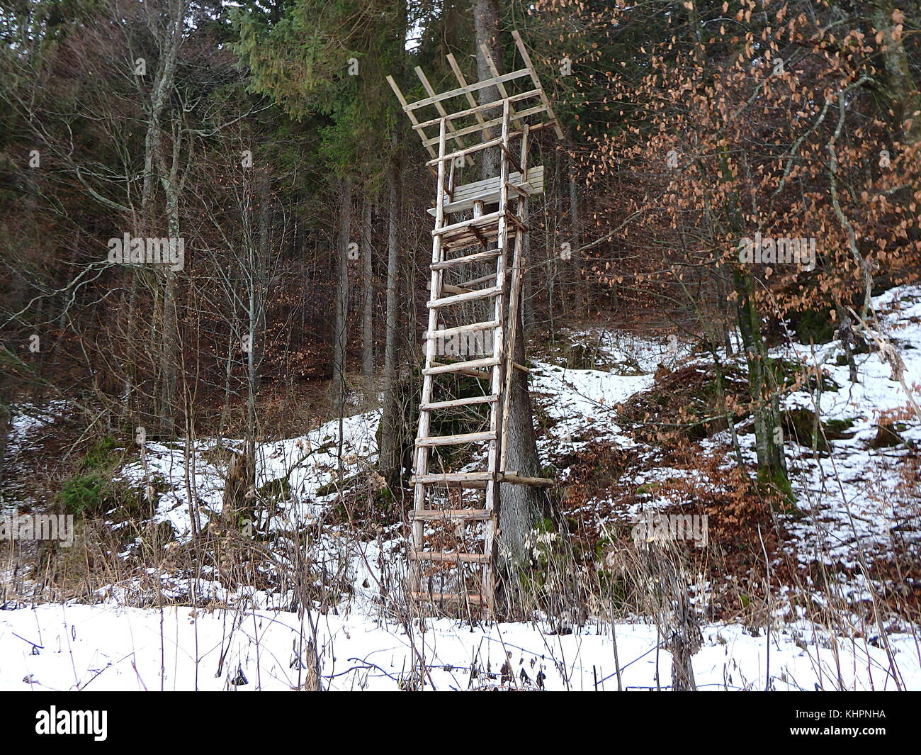 Wooden hunting hide, Wooden pulpit for hunting Stock Photo Alamy