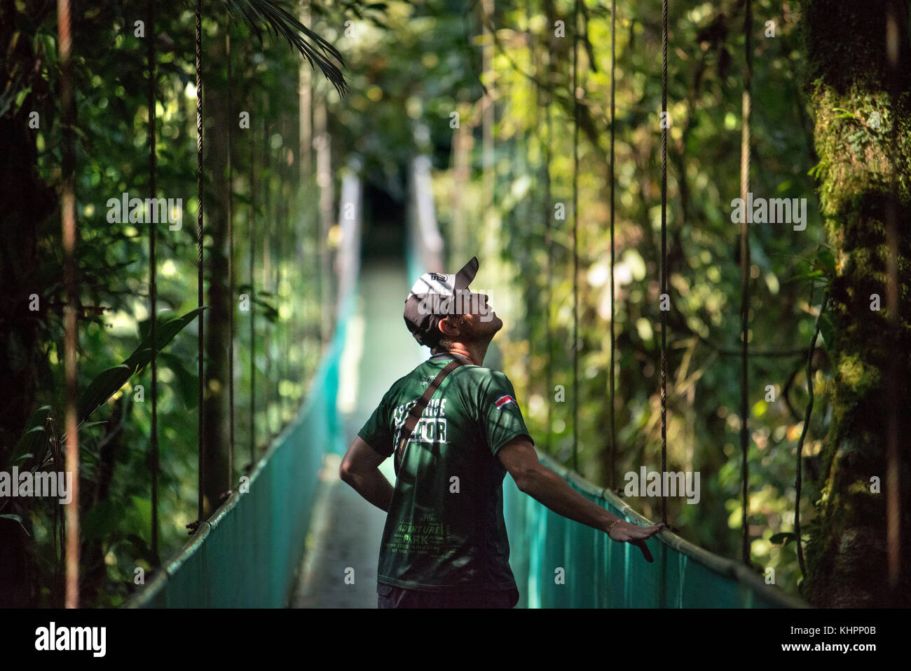 Sky walk in Arenal Costa Rica Central America. Suspended bridge at natural rainforest park, Costa Rica. Stock Photo