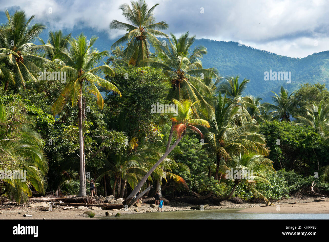 Ocean beach seashore Palm trees Playa Uvita Central America Landscape Scenery Nature, Costa Rica Pacific coast Sea. Beach of Marino Ballena National P Stock Photo