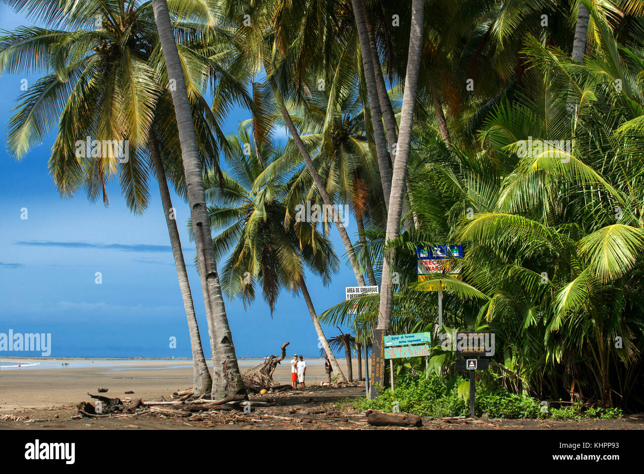 Ocean beach seashore Palm trees Playa Uvita Central America Landscape Scenery Nature, Costa Rica Pacific coast Sea. Beach of Marino Ballena National P Stock Photo