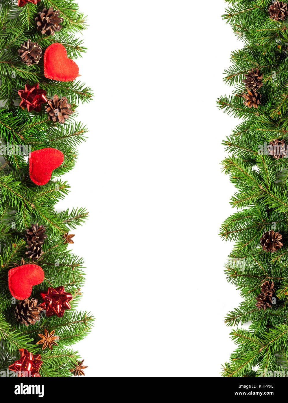 Christmas tree branches on white background as a border or