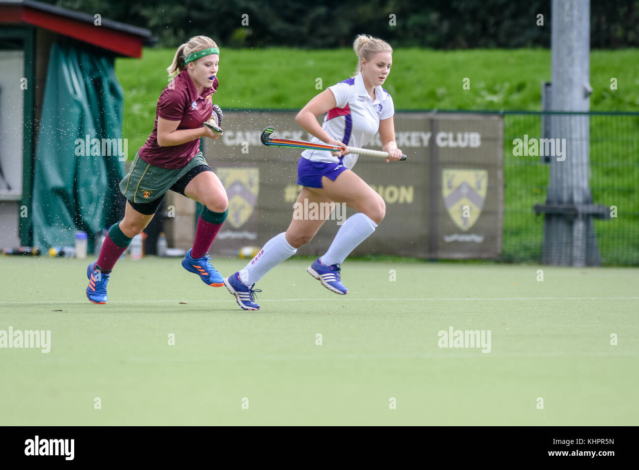 Two female field hockey players competing for the ball Stock Photo