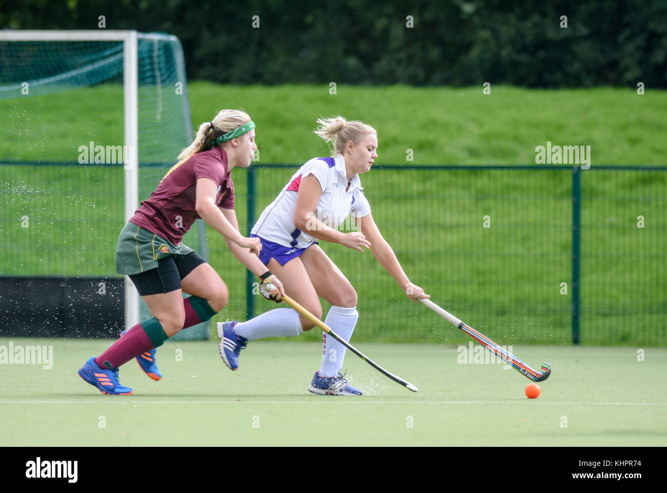 Two female field hockey players competing for the ball Stock Photo Alamy