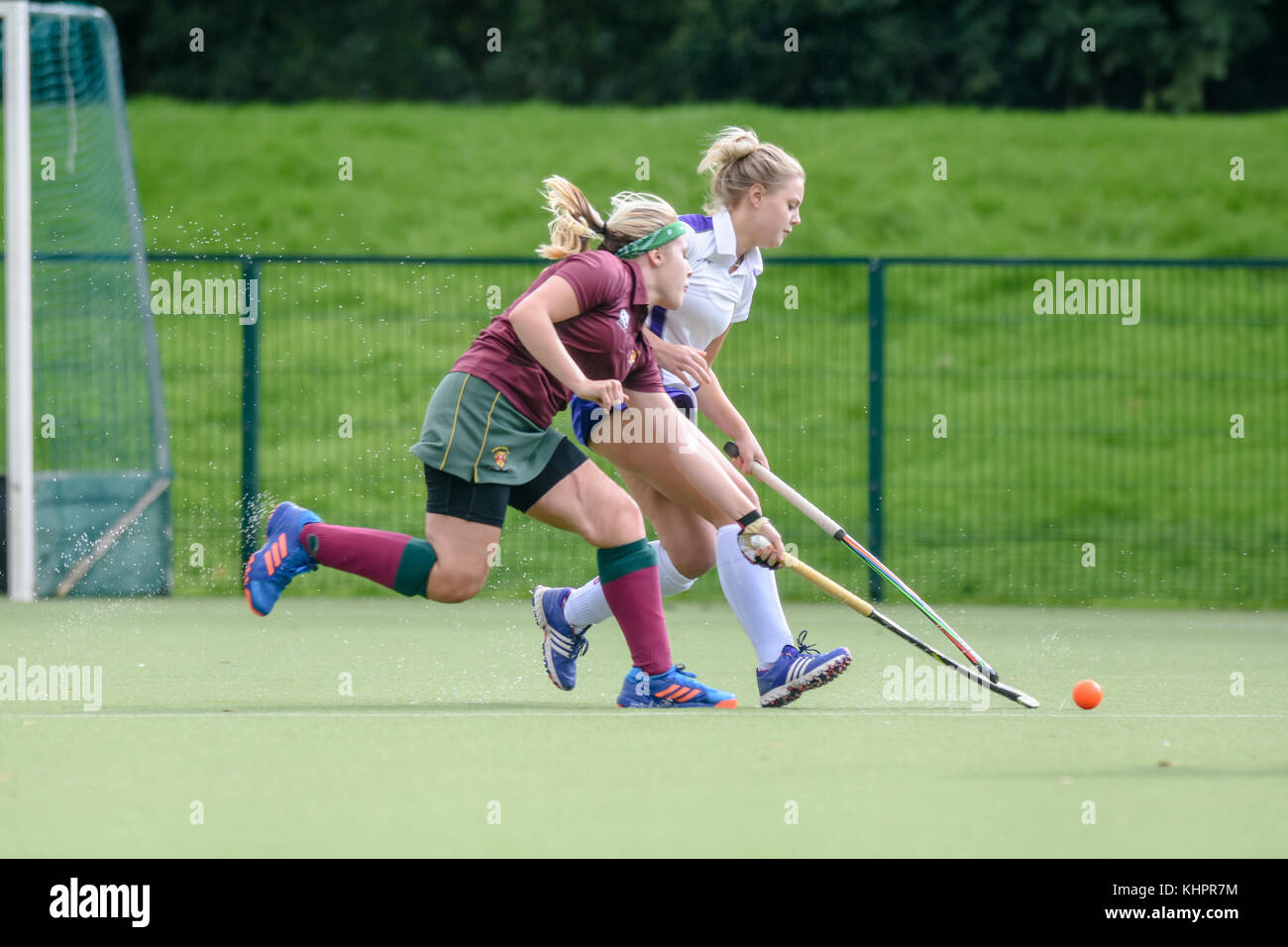 Two female field hockey players competing for the ball Stock Photo