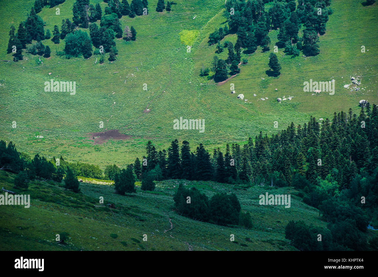 The beautiful summer landscape in Arkhyz, Russia Stock Photo - Alamy