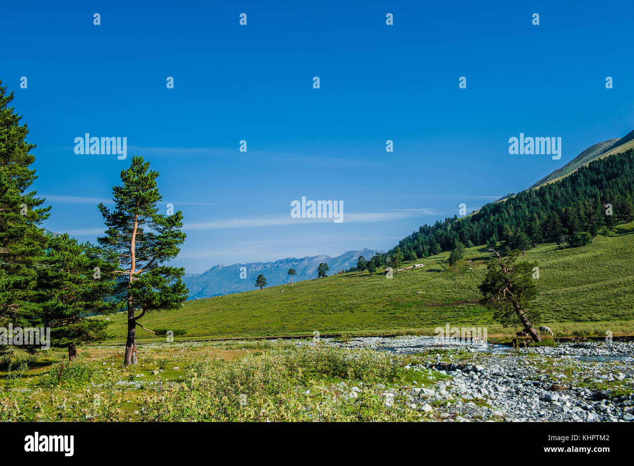 The beautiful summer landscape in Arkhyz, Russia Stock Photo - Alamy