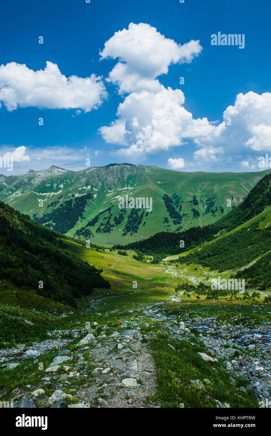 The beautiful summer landscape in Arkhyz, Russia Stock Photo - Alamy