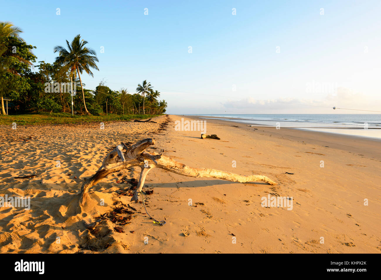 Exotic palm-fringed sandy beach of South Mission Beach on the Coral Sea, Far North Queensland, FNQ, Australia Stock Photo