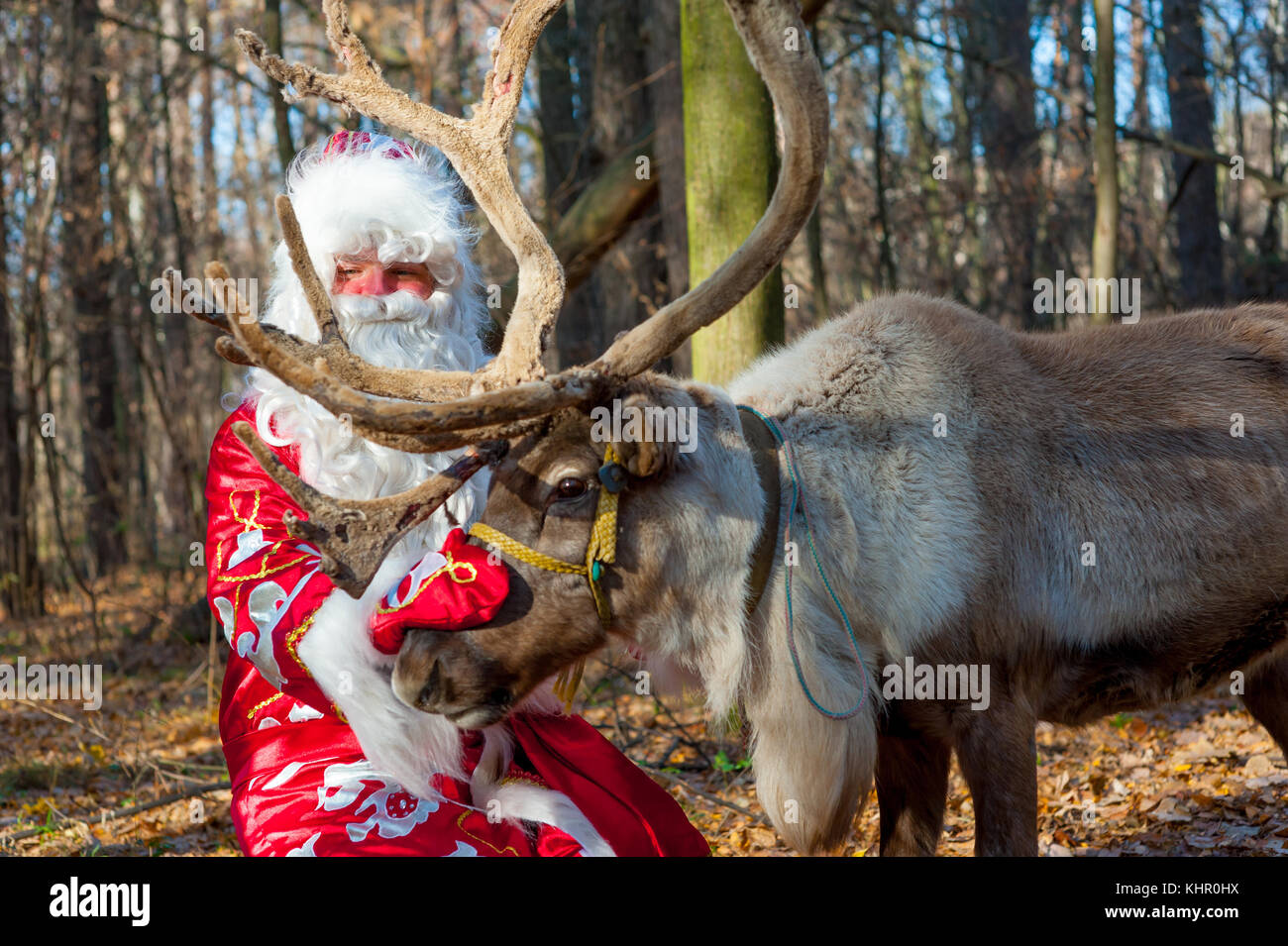 Santa Claus portrait Stock Photo - Alamy