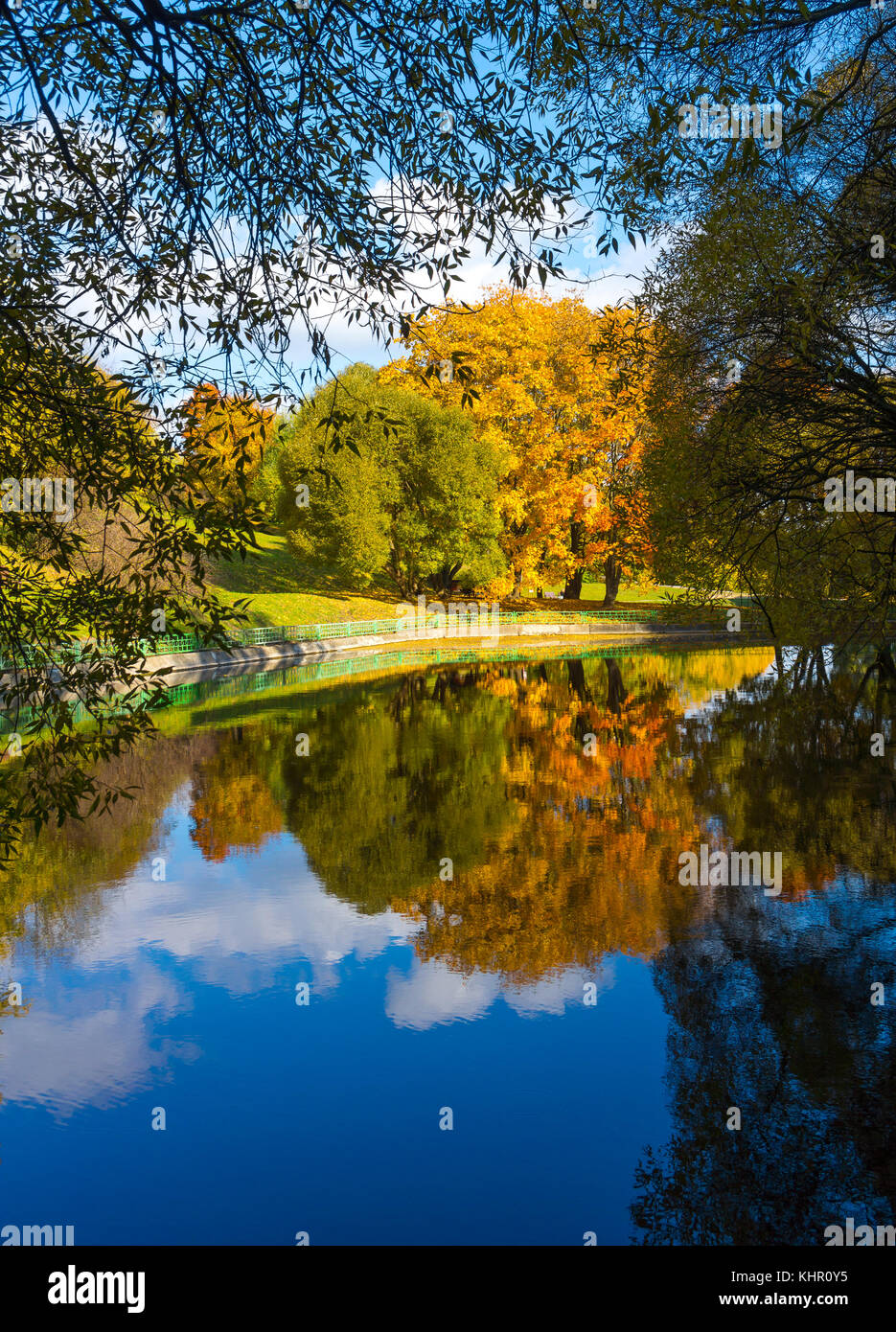 Yellow maple leaves reflected in the water. Park in autumn Stock Photo ...