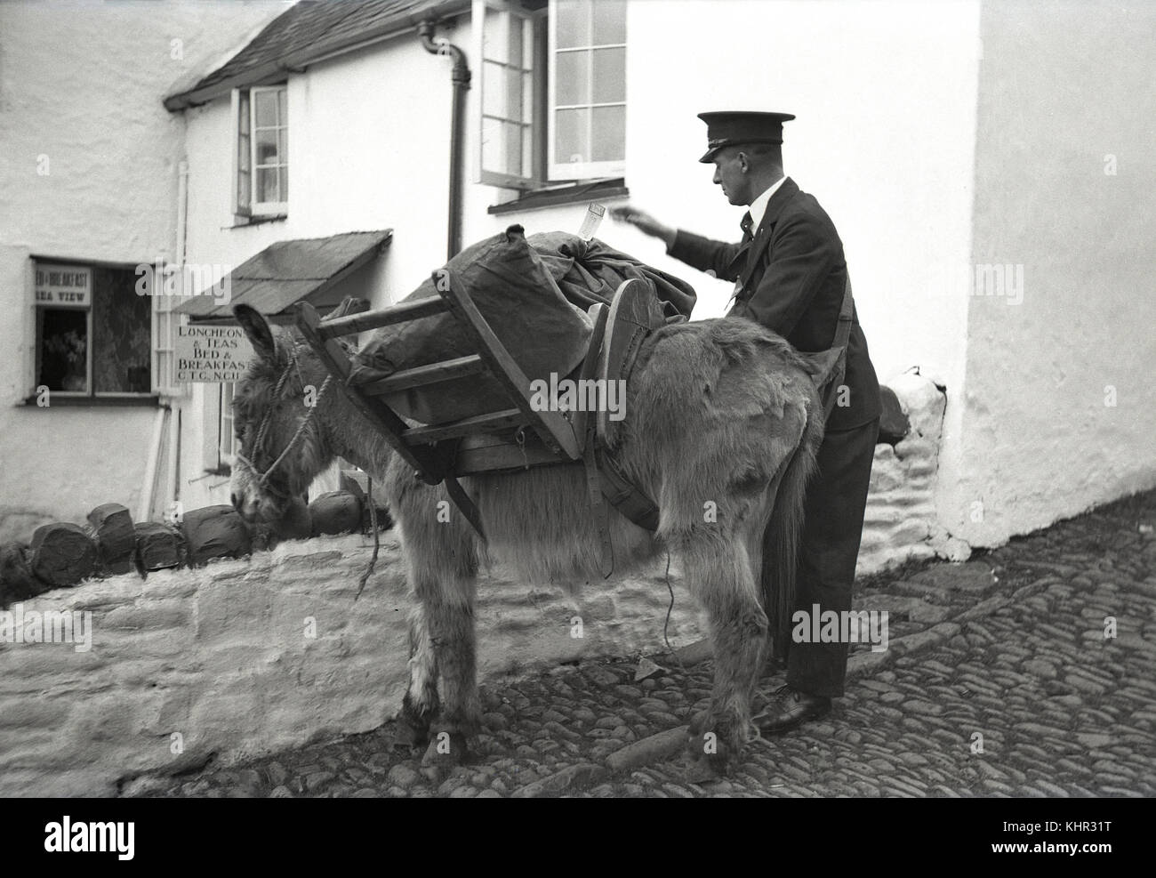 1950s, a smart postman wearing his hat with his donkey who with a wooden harness is carrying the mail sacks. Taken at Covelly, Devon, England, UK, where the steep and narrow cobble streets saw donkeys used for many such purposes around the village and harbour. Stock Photo