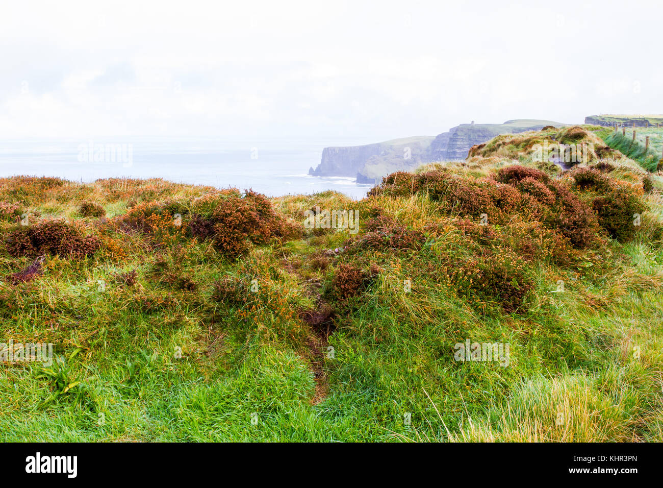 Beautiful landscape at the famous Cliffs of Moher and O'Brien's Tower