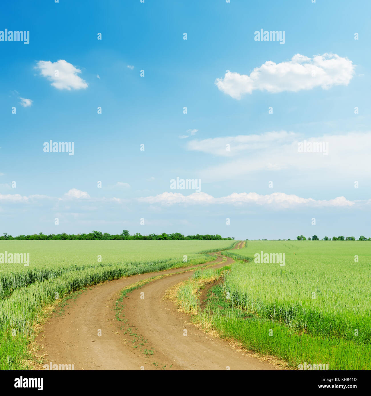 dirty road in green agriculture field and blue sky with clouds over it ...