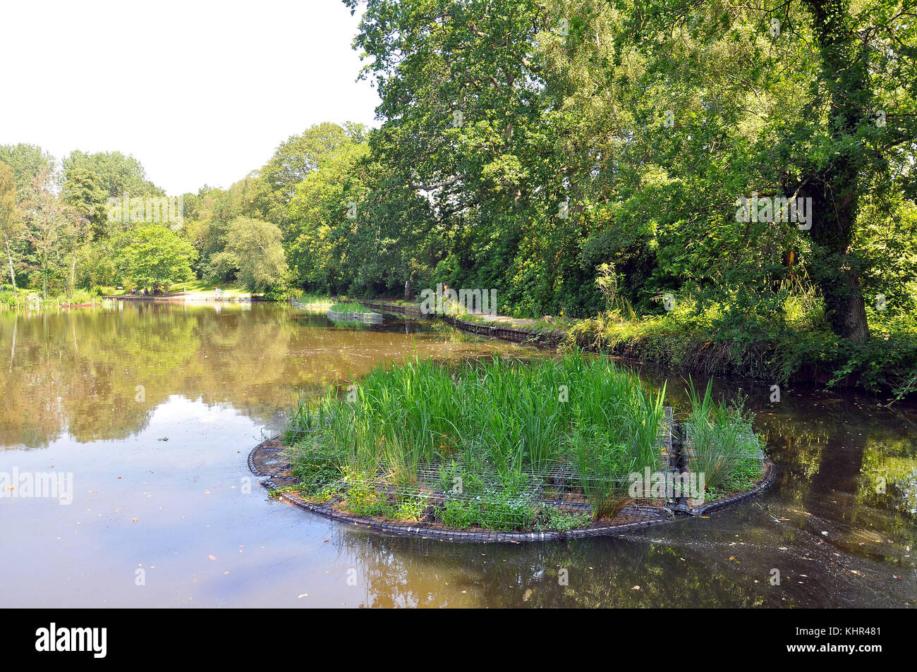 Floating Islands for wildlife on Hiltingbury Lakes, Chandlers Ford