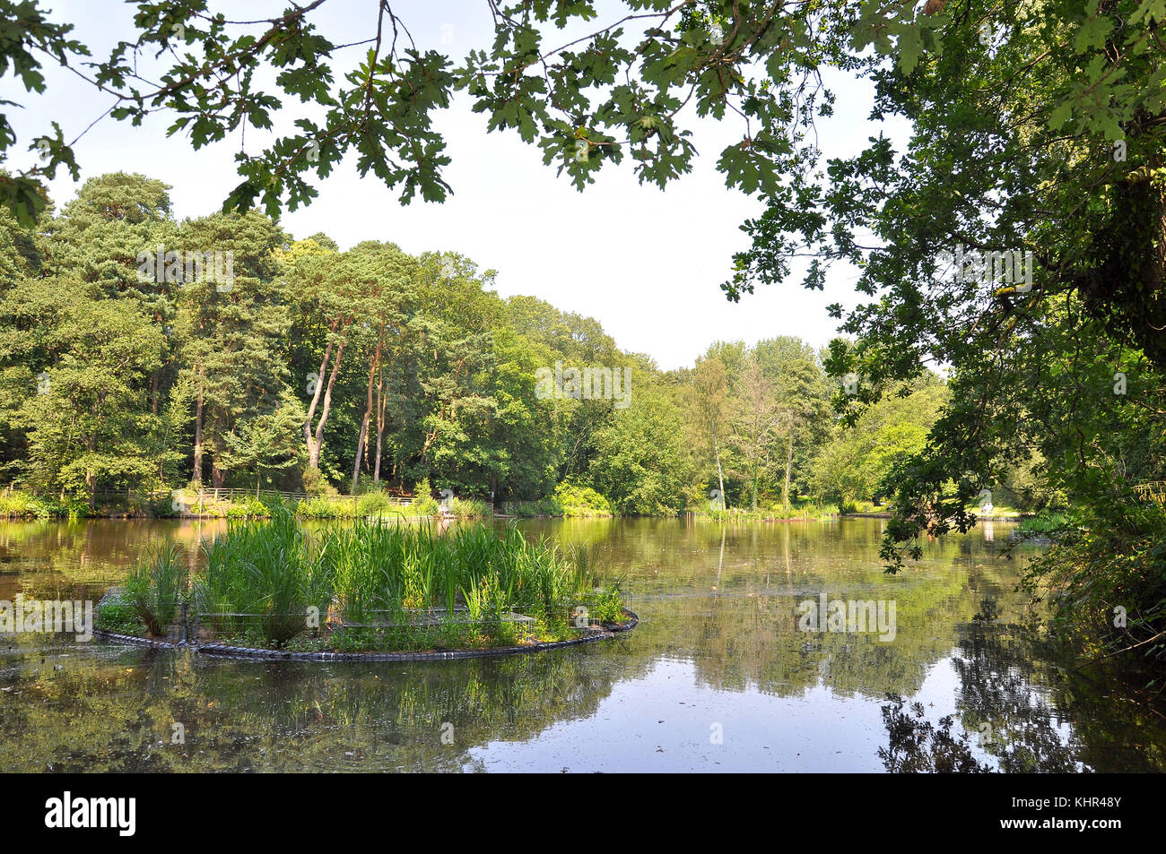 Hiltingbury Lakes and floating Islands for wildlife on Chandlers Ford