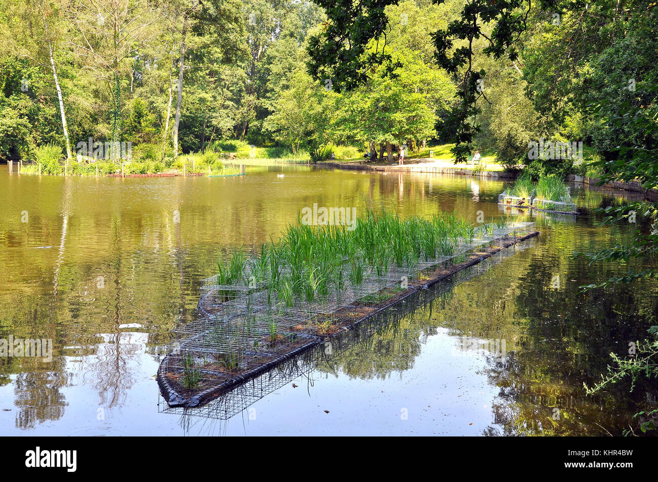 Floating Islands for wildlife on Hiltingbury Lakes, Chandlers Ford