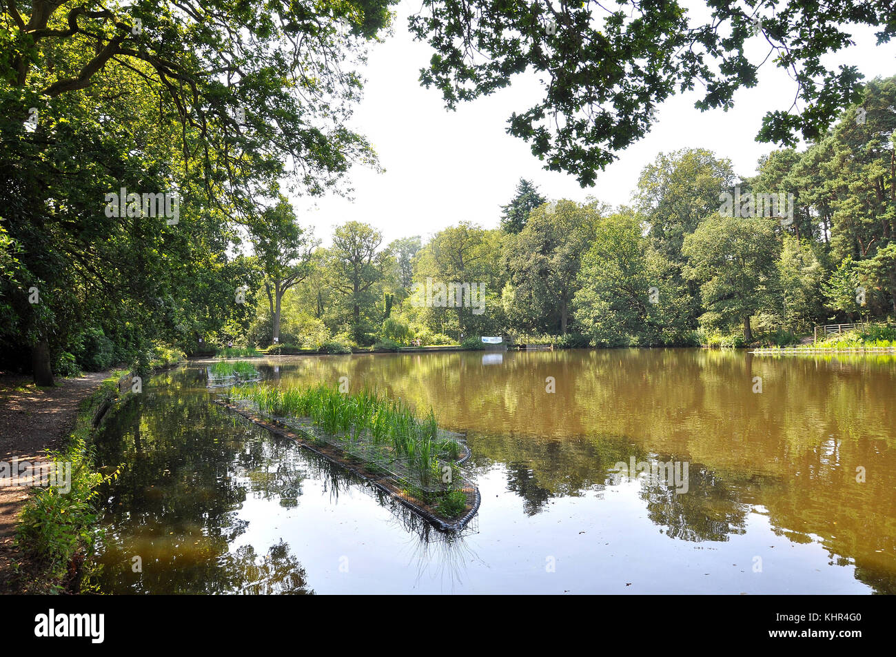 Floating Islands for wildlife on Hiltingbury Lakes, Chandlers Ford