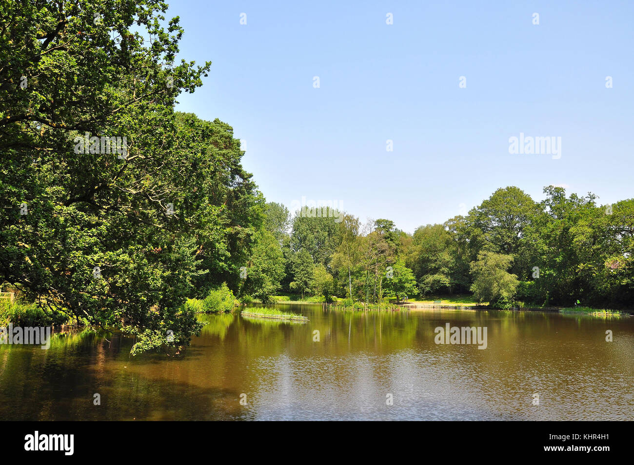 Hiltingbury Lakes and floating Islands for wildlife on Chandlers Ford