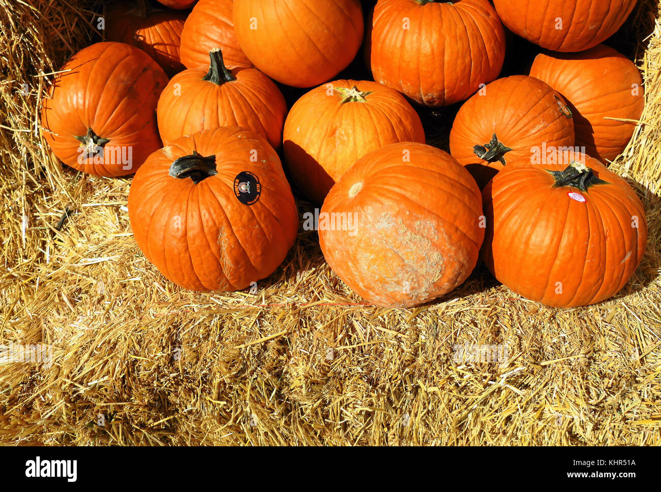 A group of pumpkins on a bale of hay Stock Photo - Alamy