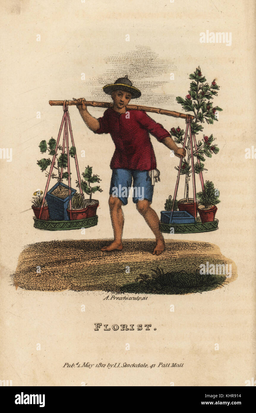 Chinese florist selling miniature trees and bushes, Penjing or Penzai