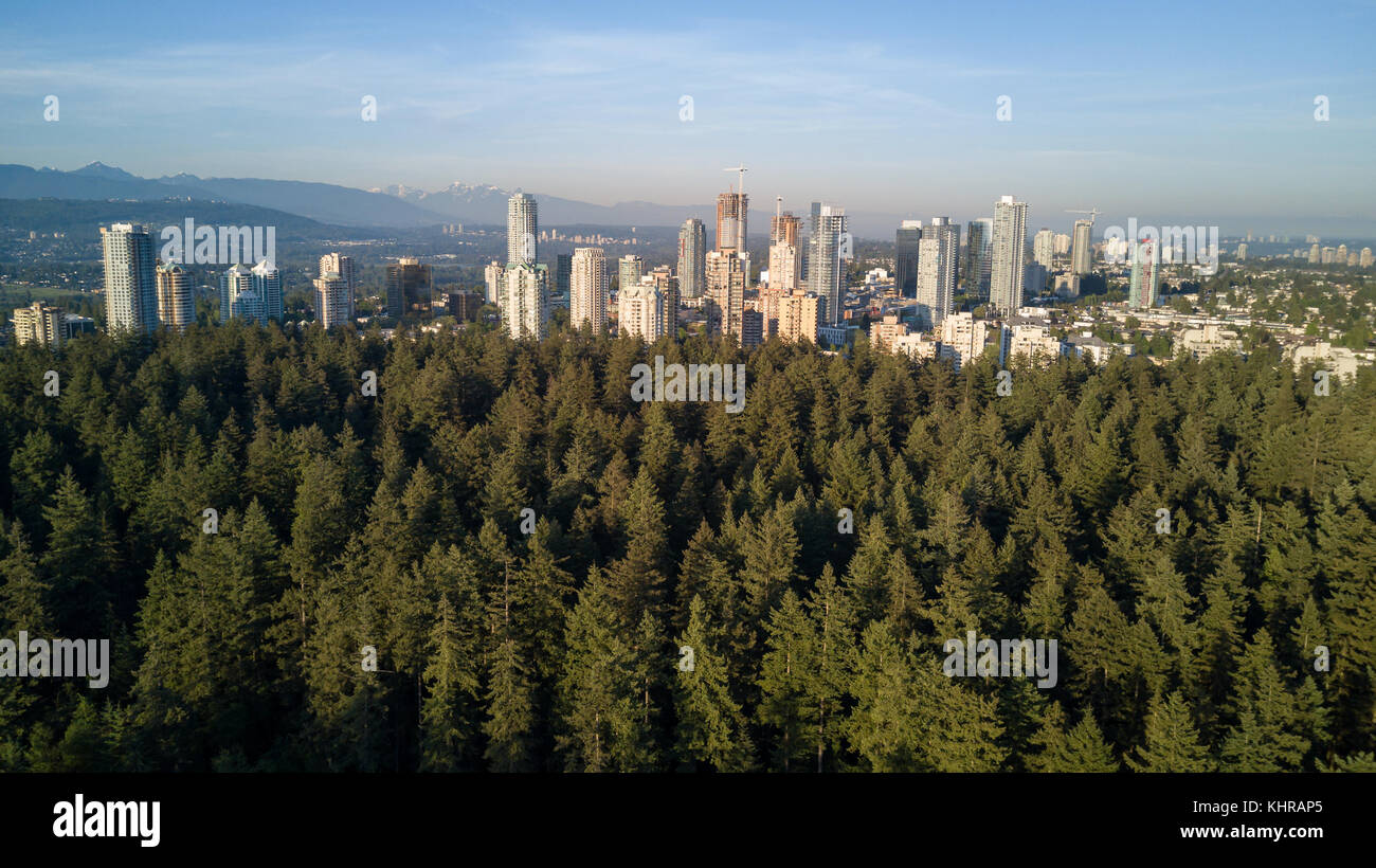 Aerial View of Metrotown City from Central Park in Burnaby, Greater ...