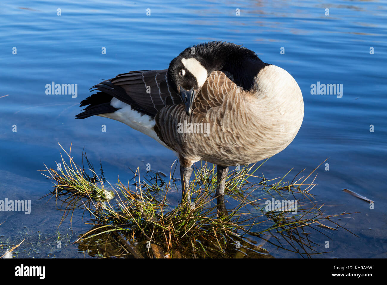 Jericho lake hi res stock photography and images Alamy