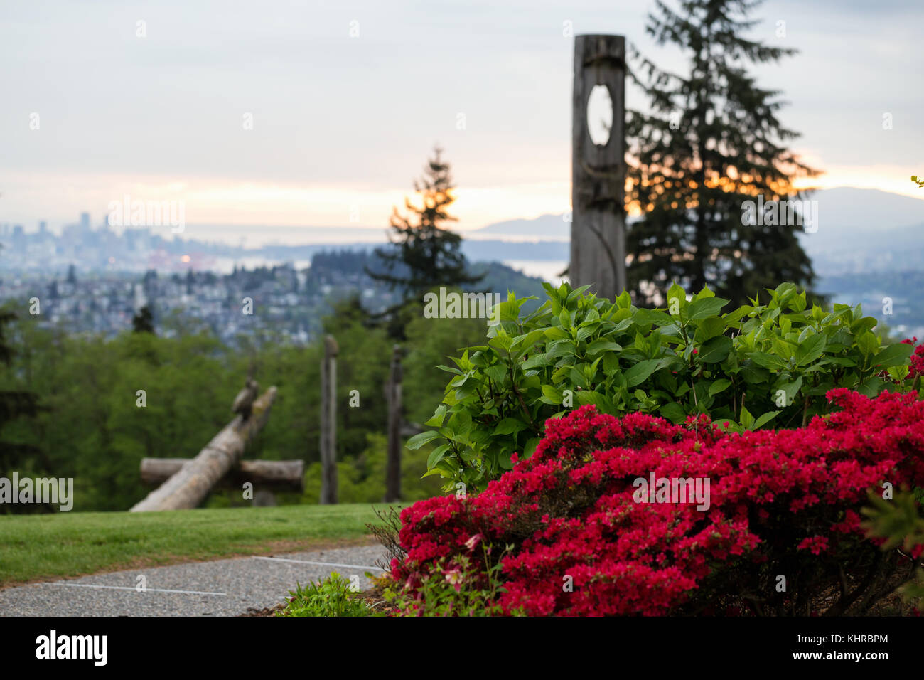 Flowers and Plants in Burnaby Mountain Park, with Downtown Vancouver, BC, Canada, in the