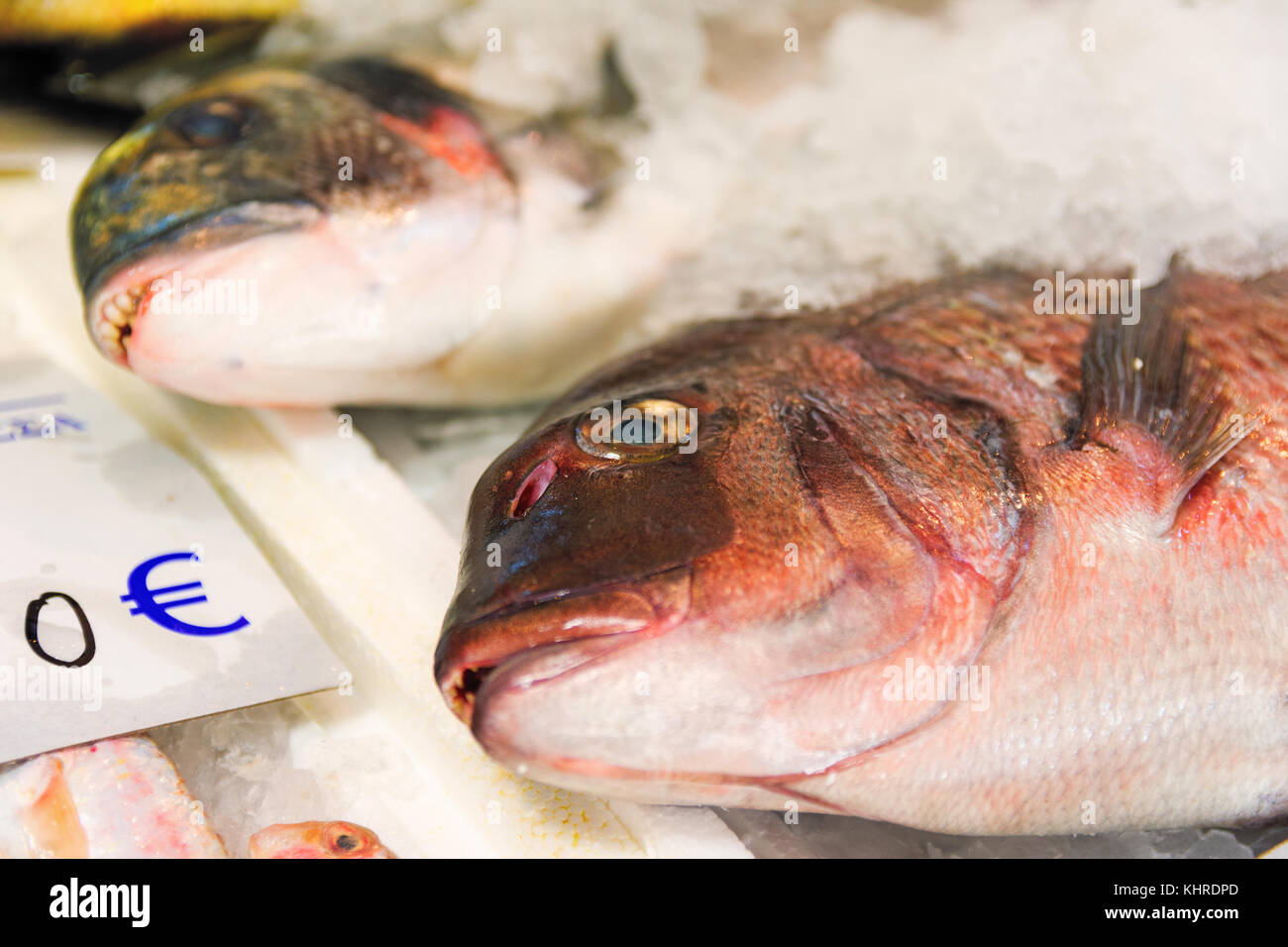 Close-Up Of Freshly Caught Red Porgy Or Pagrus Pagrus On Ice Lined Up For Sale In The Greek Fish Market Stock Photo