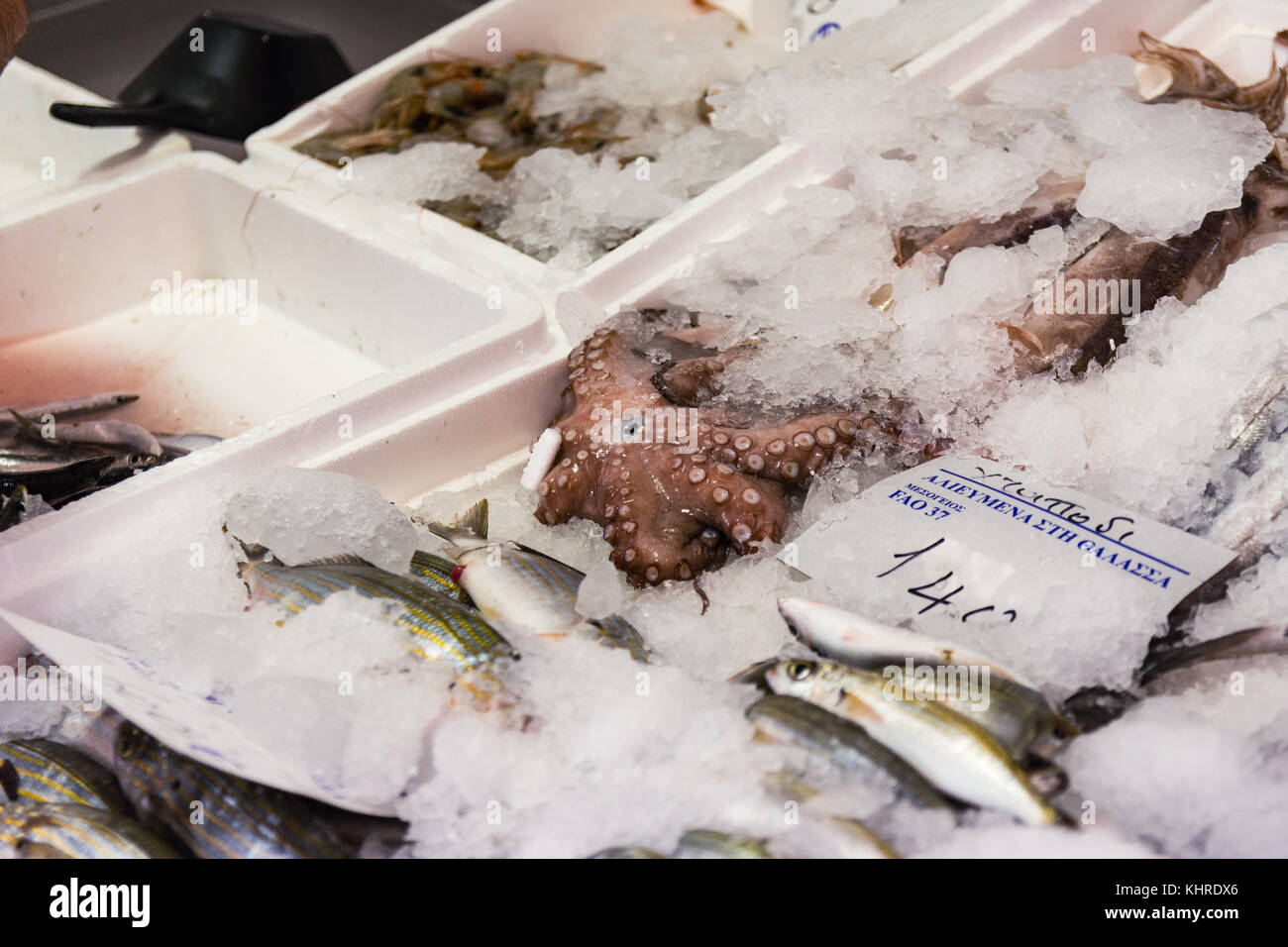 Freshly Caught Octopus And Seafood On Ice For Sale In The Greek Fish Market Stock Photo