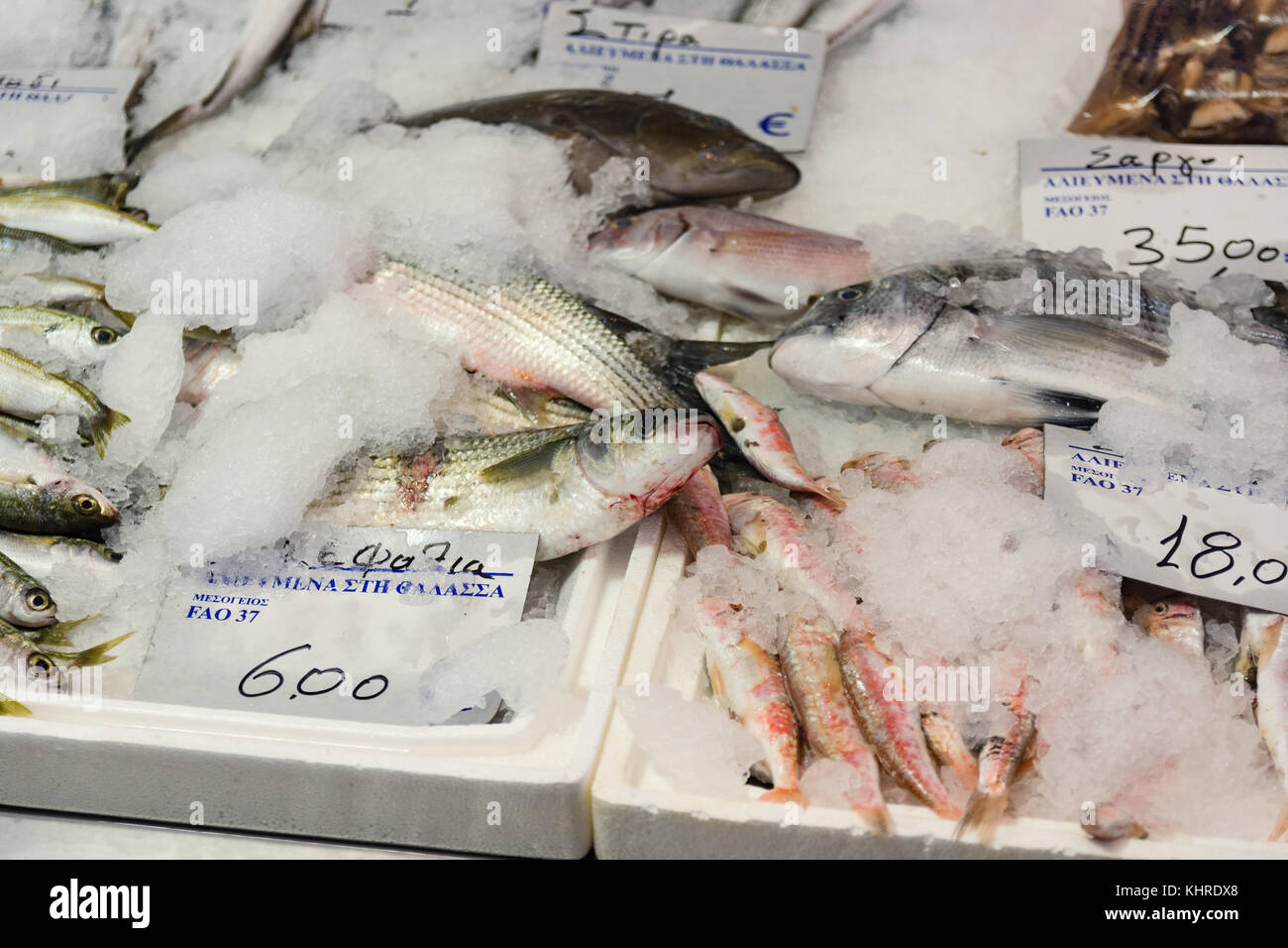 Freshly Caught Fish On Ice For Sale In The Greek Fish Market Stock Photo
