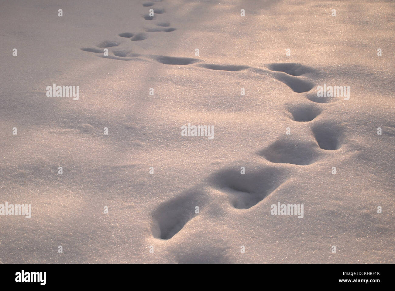 Traces in the snow. Winter background Stock Photo - Alamy