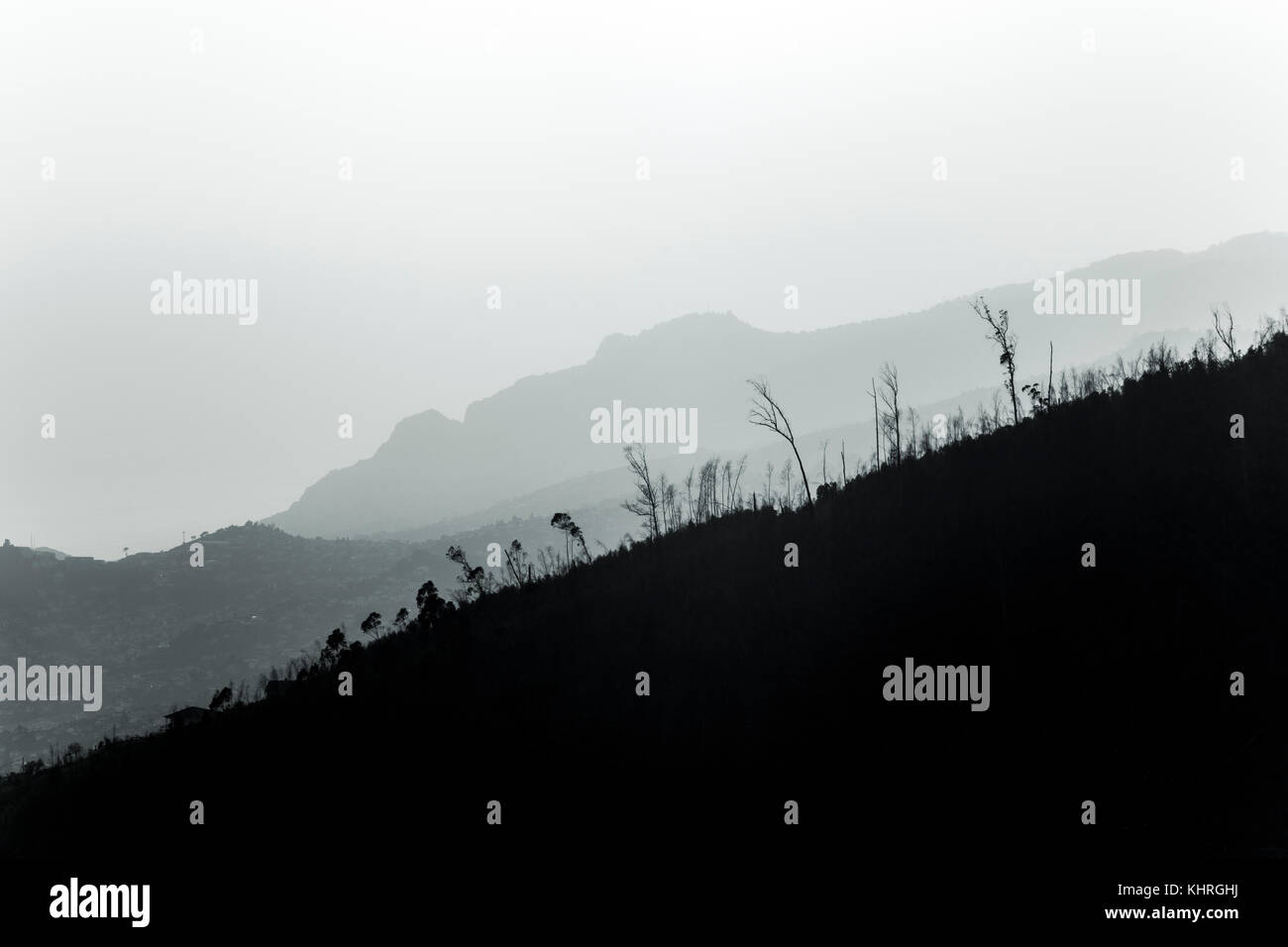 Silhouettes of trees on a hill and mountains at Parc Ecologico do Funchal, Madeira Stock Photo