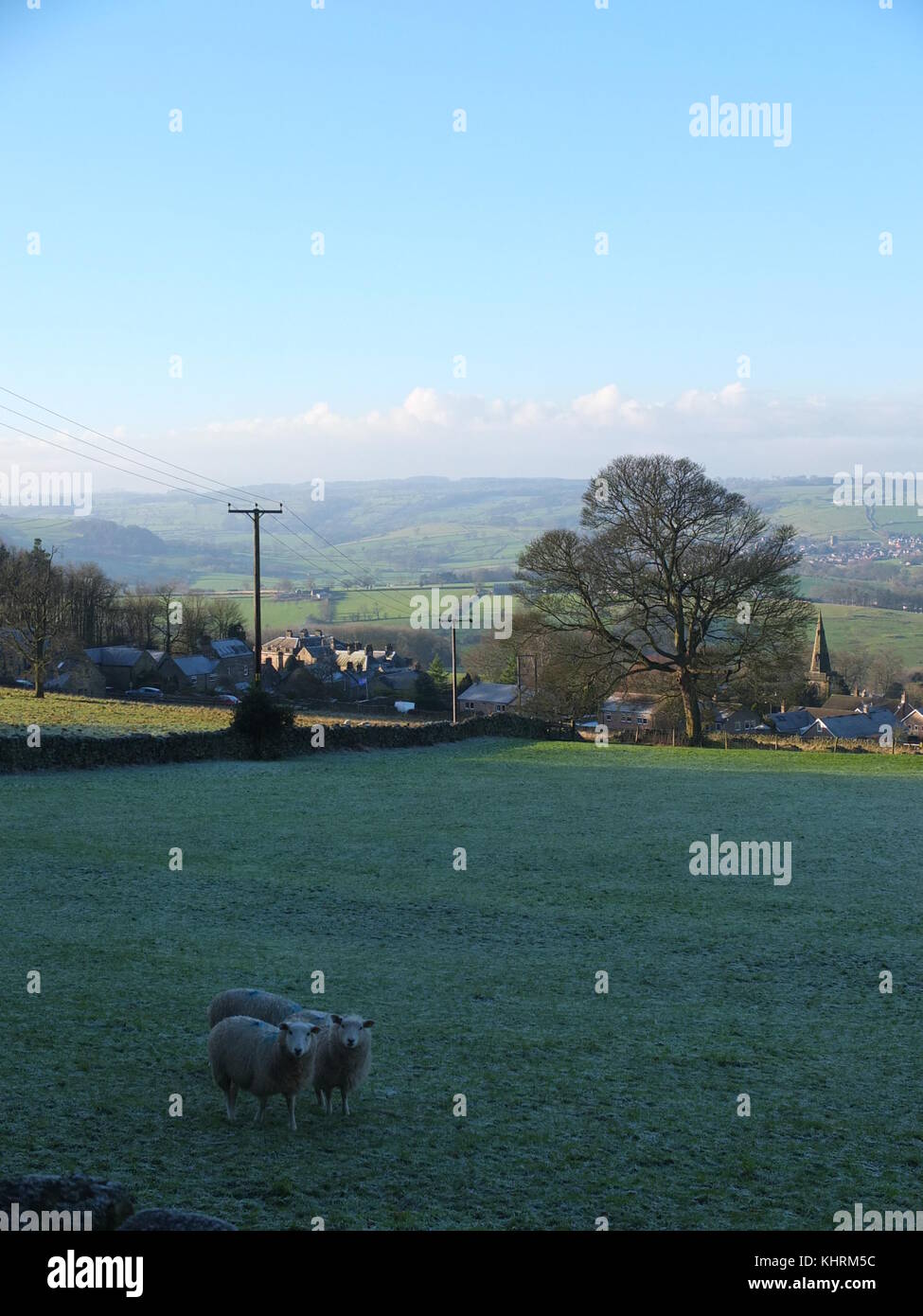Three sheep huddle together on a frosty winter's day with the Derbyshire Peak District village of Stanton in Peak in the background. Stock Photo