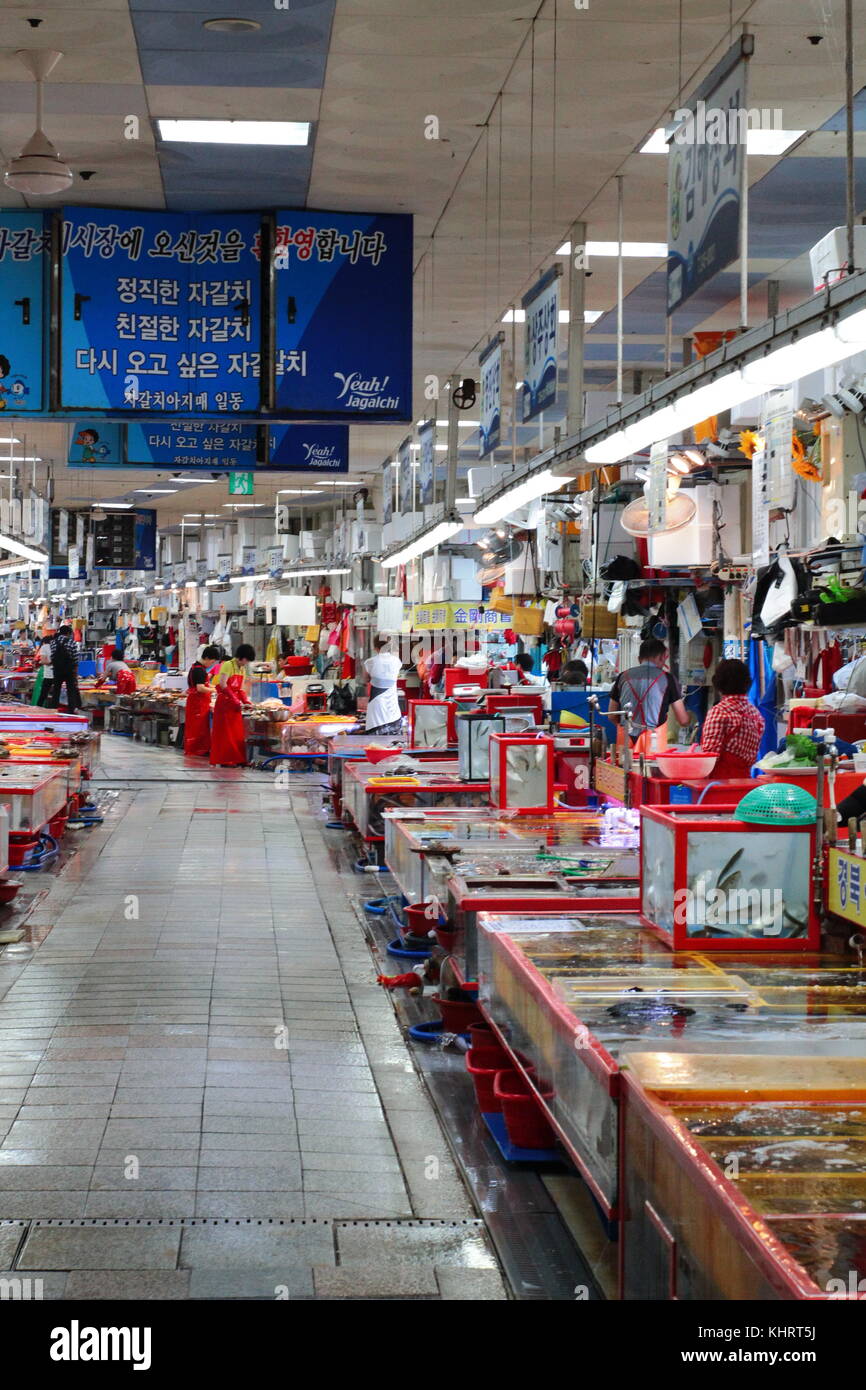 Jagalchi Fish Market in Busan, South Korea Stock Photo - Alamy